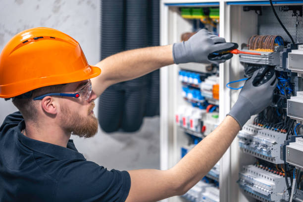 Best Electric Panel Repair  in Zephyrhills, FL